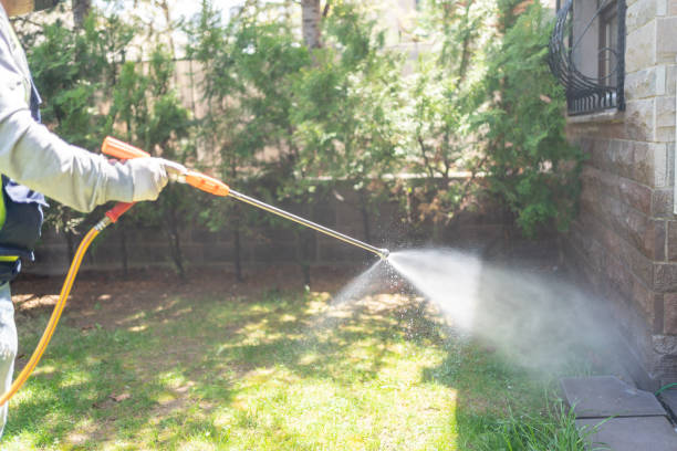 Best Wildlife Control Services  in East Village, CT