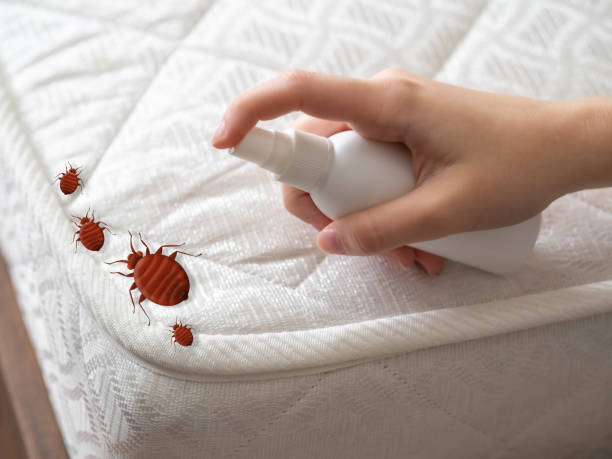 Best Exterminator Services  in East Village, CT